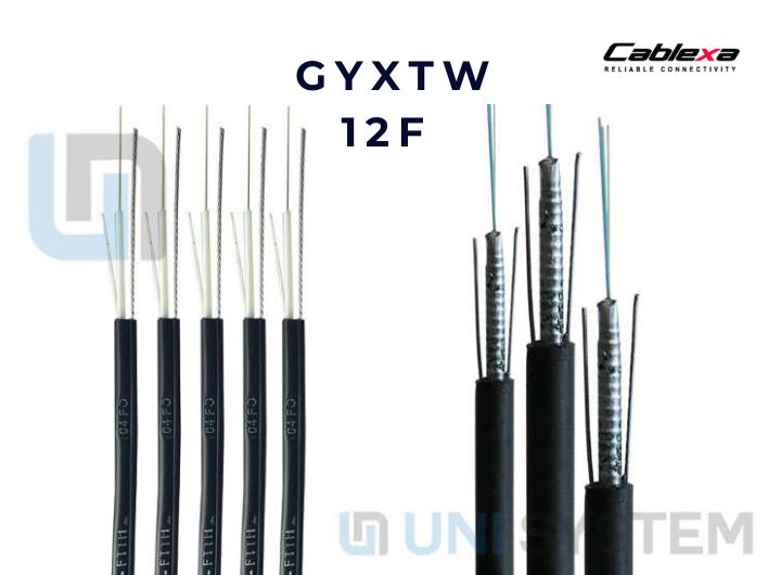 Cáp quang Singlemode 12 sợi GYXTW bọc thép vỏ HDPE, 12F, 12 core, 12 lõi, 12 FO, 12 Fiber
