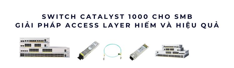 Switch Catalyst 1000 cho SMB
