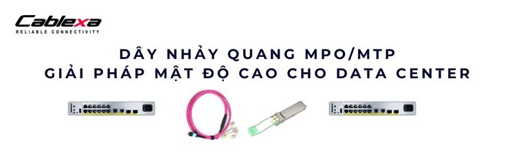 Dây nhảy quang MPO/MTP