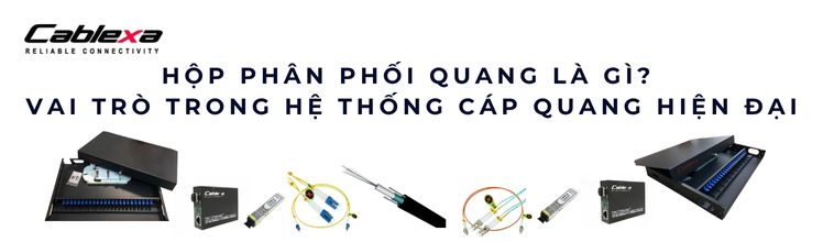 Hộp phân phối quang là gì Hộp phân phối quang là gì