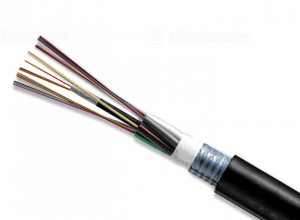 Cáp quang 24FO chôn ngầm bọc thép