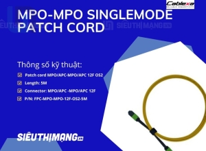 Dây nhảy quang Singlemode MPO-MPO