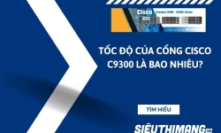 Tốc độ của cổng Cisco C9300 là bao nhiêu?