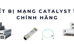 Thiết bị mạng Catalyst 1300 chính hãng – Hàng hiếm, bảo hành chuẩn Cisco