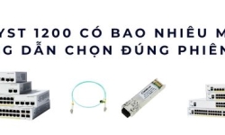 Catalyst 1200 – Danh sách model và cách chọn phiên bản phù hợp