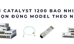 Giá switch Catalyst 1200 bao nhiêu? Chọn model phù hợp nhu cầu văn phòng