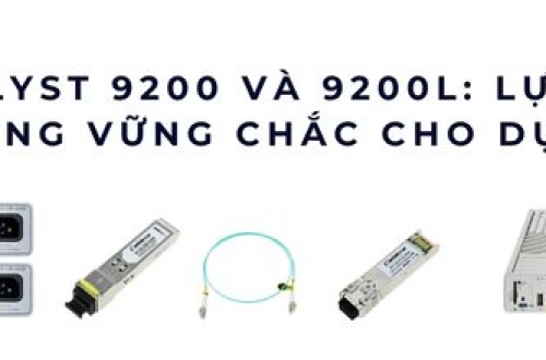 Switch Cisco Catalyst 9200 vs 9200L – Nâng tầm hạ tầng mạng doanh nghiệp thông minh