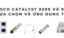 So sánh Cisco Catalyst 9200 và 9200L: Khác biệt, lựa chọn và ứng dụng thực tế