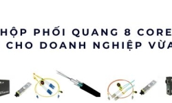 Hộp phối quang 8 core – Giải pháp tối ưu cho mạng doanh nghiệp vừa