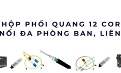 Hộp phối quang 12 core – Giải pháp kết nối đa phòng ban, liên tầng