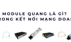 Module quang là gì? Giải mã vai trò & công nghệ truyền dẫn quang