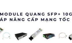 Module quang SFP+ 10G – Nâng cấp tốc độ mạng doanh nghiệp hiện đại