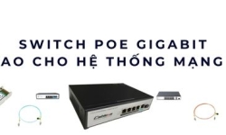 Switch PoE Gigabit – Tốc độ cao và cấp nguồn thông minh cho IoT