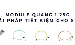 Module quang 1.25G – Giải pháp tiết kiệm và ổn định cho doanh nghiệp SMB