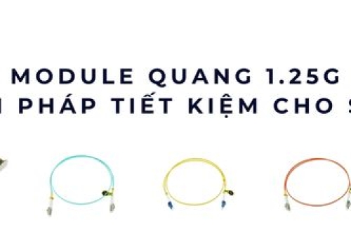 Module quang 1.25G – Giải pháp tiết kiệm và ổn định cho doanh nghiệp SMB