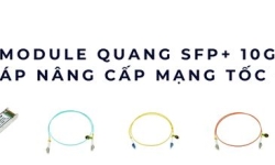 Module quang SFP+ 10Gbps – Tăng tốc độ truyền dữ liệu cho hệ thống mạng