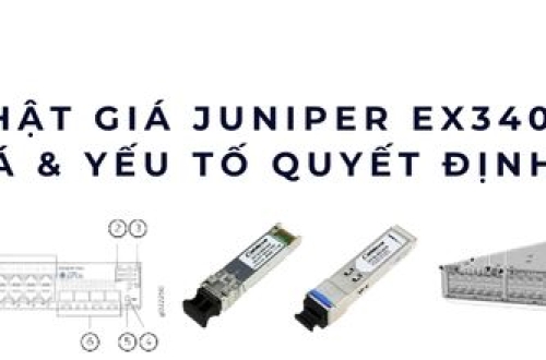 Cập nhật giá Juniper EX3400 2025 – Bảng giá & yếu tố quyết định chi phí