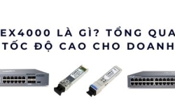 Juniper EX4000 là gì? Series switch tốc độ cao cho doanh nghiệp 2025