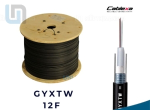 Cáp quang Singlemode 12 sợi GYXTW