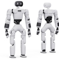 Robot AI chính hãng
